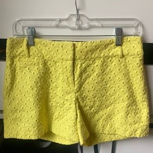 Ann Taylor Loft Eyelet shorts